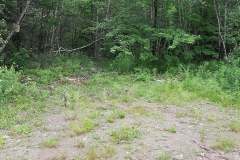 Trail-clean-up-5-5-Jun-2021